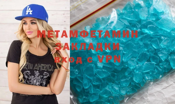 индика Няндома