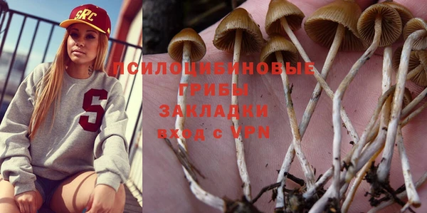 apvp Балахна